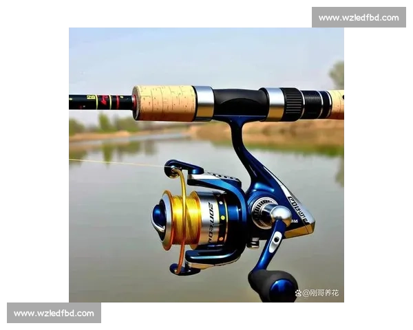 2017年度精彩矶钓比赛全程回顾与高手技巧展示