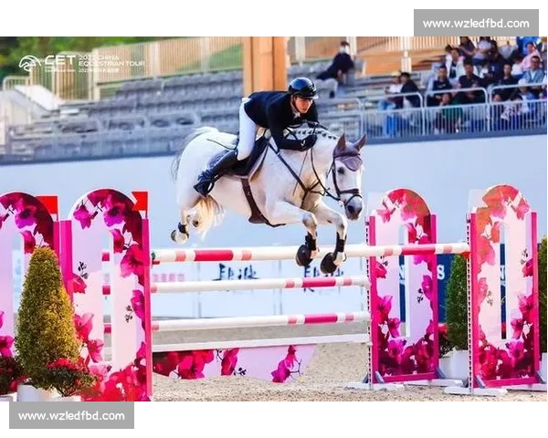 中国马术比赛:技术与激情碰撞 展现传统与现代融合的竞技盛宴 中国马术比赛:技术与激情碰撞 展现传统与现代融合的竞技盛宴